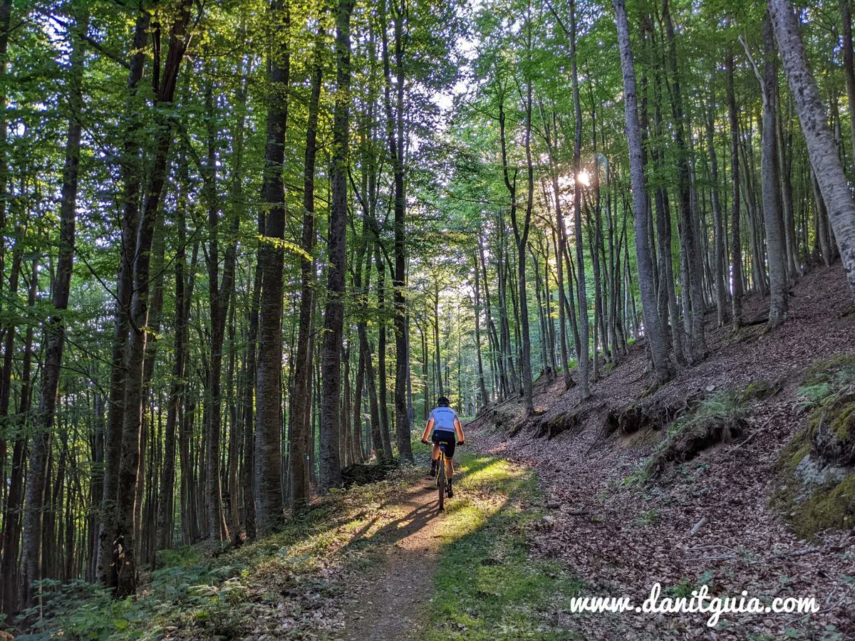 danitguia's tweet photo. Precios lugares los que conoció éste cliente en una de nuestras rutas de #mtb
https://t.co/HvxRs7Lvr8
@lariojaturismo @info_ezcaray  #montaña #ebikes  #turismoactivo #orbea #Ezcaray #turismosostenible #sierradelademanda #senderismo #btt  #alquilerdebicicletas  #guiademontaña https://t.co/WCoPsy9rqm