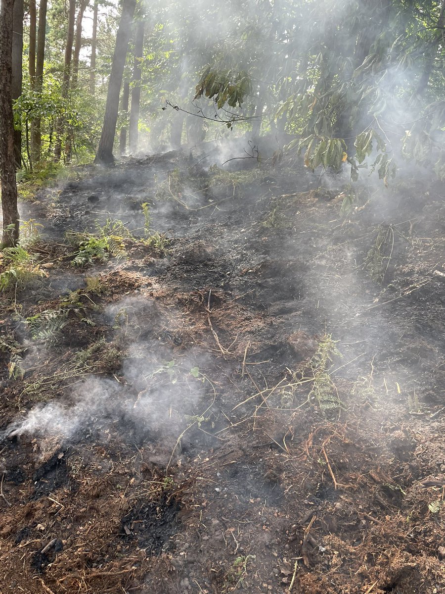SFRS_MDrayton's tweet photo. INCIDENT π 4 x 4 Incident Support Unit mobilised 15:59 Saturday to support @SFRS_Wem and ISU from @SFRS_Whitchurch at fire in open in #Weston π Fire involving deep seated peat 30m x 10m in wooded area π₯ Extinguished using 1 x Jet, 1 x High Pressure Lance π¦ #DifficultAccess https://t.co/wap3B0UwUM