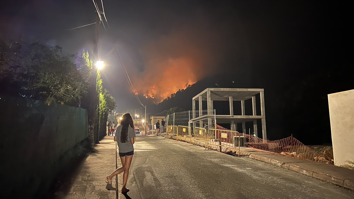 Sergio Zamora tweet media