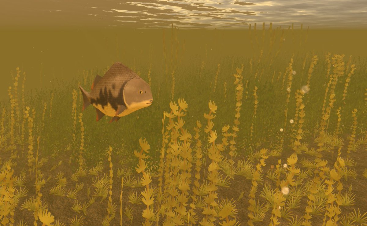 PaleozoicLife's tweet photo. Adroichthys tuberculatus https://t.co/5DOTNYxPvc