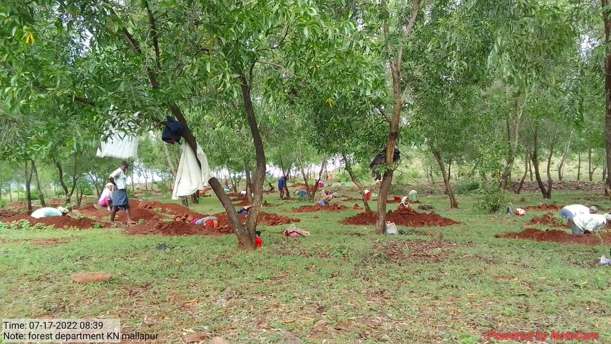 MBailhongal's tweet photo. #MGNREGA Labor doing Advance Pit's  in Forest area at Mallapur GP Bailhongal Belagavi. 
#Pits #plantations #Labour #SHGs #MGNREGA #MATES #Women_Participate  #Old_aged #Widos #Handicaped https://t.co/7N5OyS2qdM