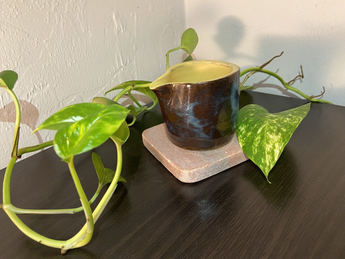 AngelieRivera9's tweet photo. @SantiCorreaPhD Love it! 😍 You need to tell me your to go place in the Bay Area. These are mine from this year and from 2006 before taking a 16 yrs break on ceramics 🫣. https://t.co/UDuO34dv0M