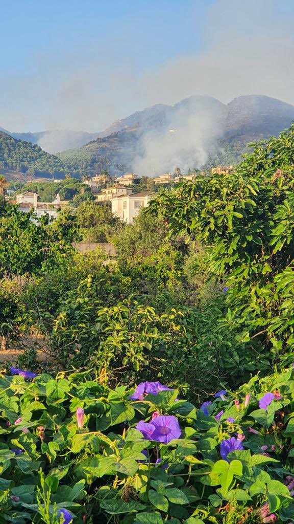 Sergio Zamora tweet media