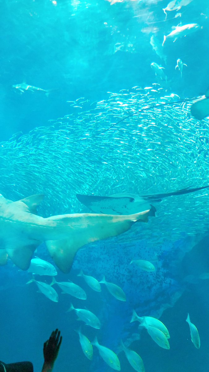 海の中道 Twitter Search Twitter