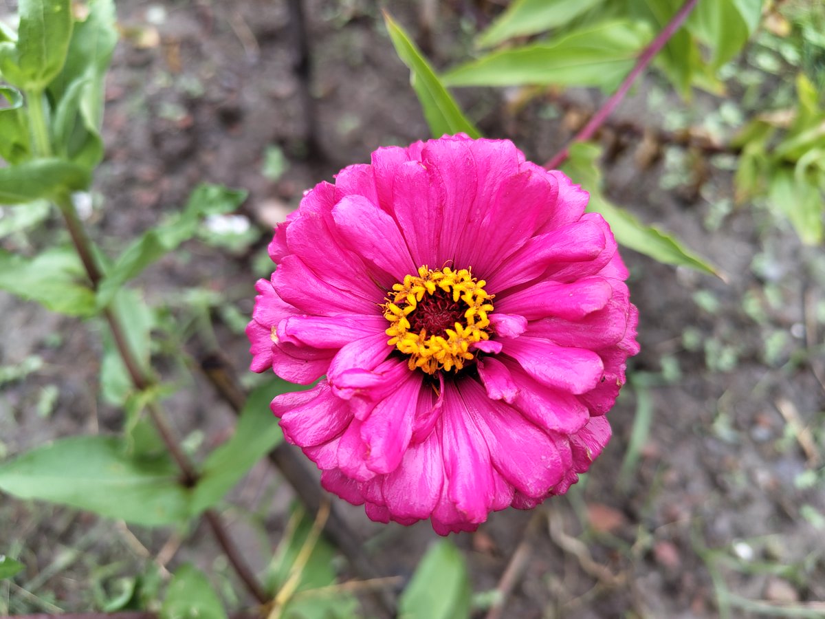 DataDock15's tweet photo. Shot on Nothing Phone 1
Checkout The Detailed Camera Review of Nothing Phone 1 with Pros & Cons - https://t.co/vaE8vpJXfh
@nothing @shotonnothingphone1 #shotonnothing #nothingphone1 #nothingphone1camera #nothingphone1camerareview #nothingphone1camerasamples https://t.co/X48wlQlTLv