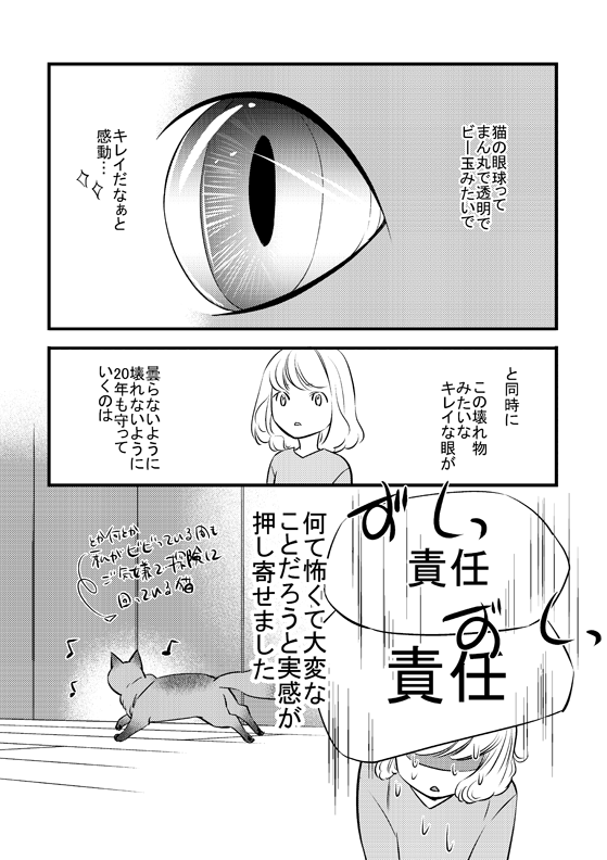 もう8年前、朔が来た日の話。1/2

「ふじいみとりのねこ活」
https://t.co/nS0S81LUIe 