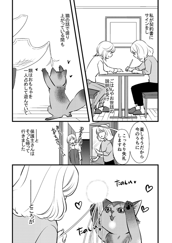 もう8年前、朔が来た日の話。1/2

「ふじいみとりのねこ活」
https://t.co/nS0S81LUIe 