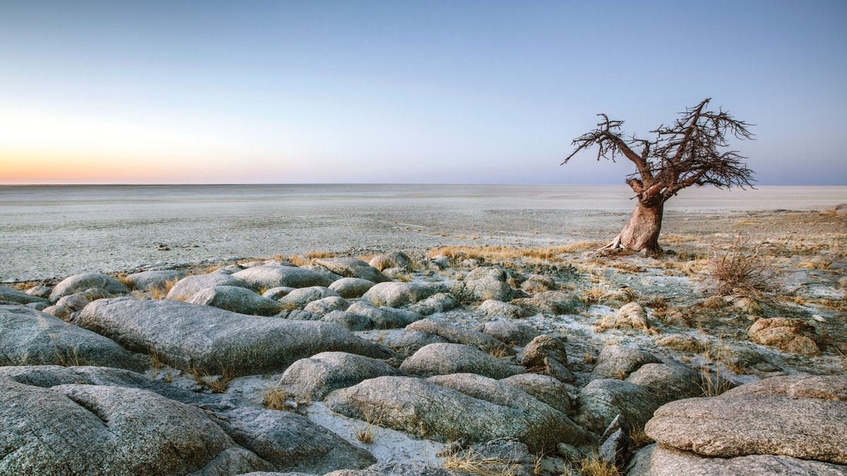 The Makgadikgadi Pan, a salt pan situated in the middle of the dry savanna of north-eastern Botswana.
I am on Patreon: smpl.is/2k6l
#explorebotswana #discoverMakgadikgadi #Makgadikgadisaltpan #tourism #traveltheworld #travel