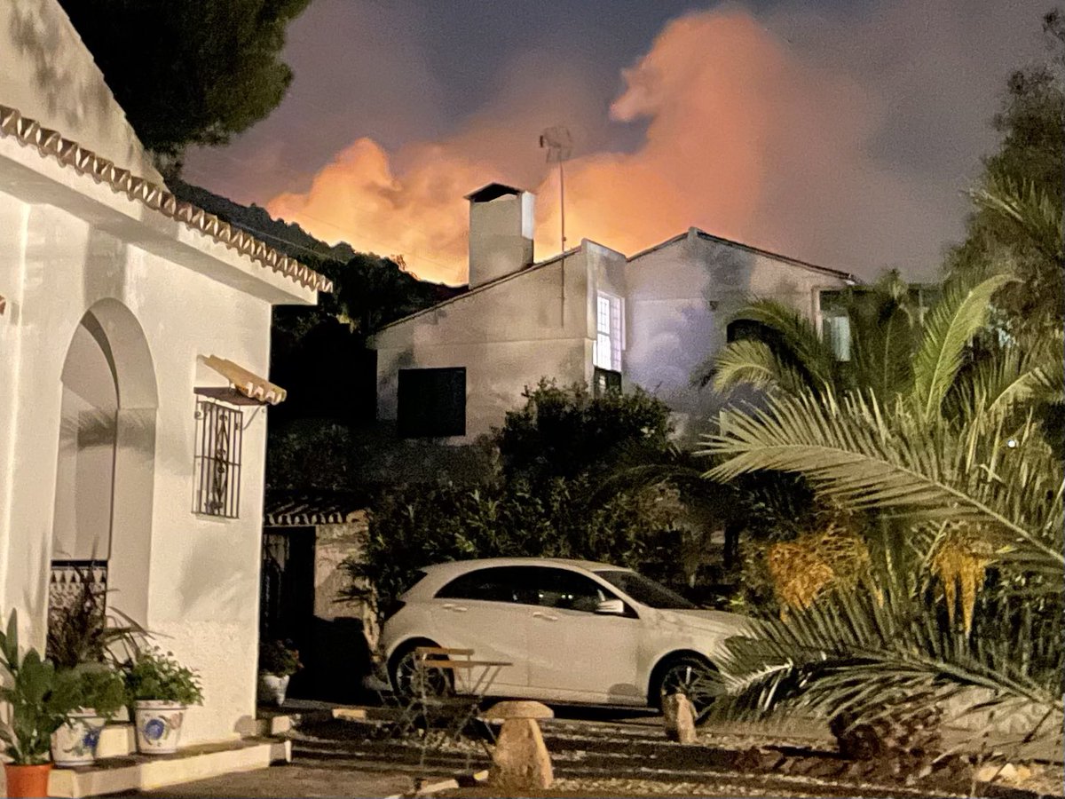 Aynsley Damery tweet media