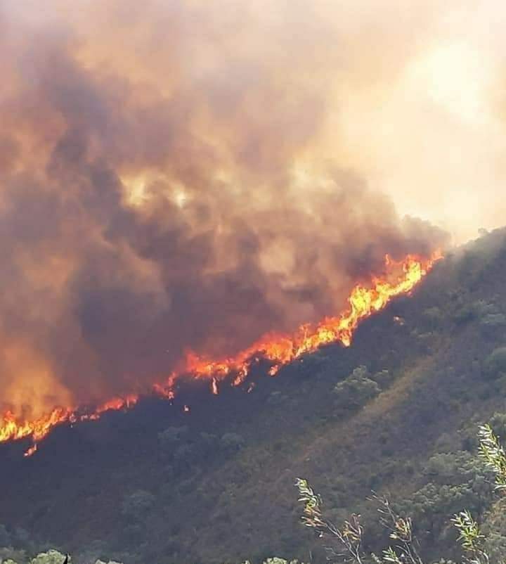En un partido ⚽️ hay descanso...
En un incendio💦🔥NO ...

Que sería del 🌎 sin esos profesionales que se juega la vida por los demás? 🚁🚒🧑‍🚒 🇪🇸

👉🏼Ellos sI tienen pelotas y no de ⚽️

#BRIFF  #helicopteros #BomberosForestales  #IIFF #BRIF