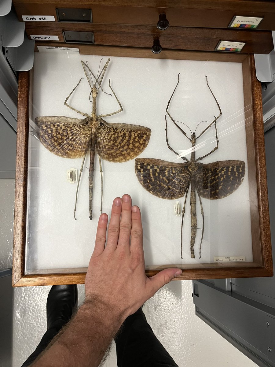 Braxton Jones tweet media