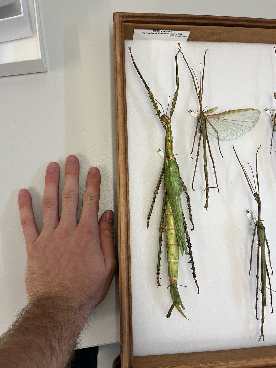 Braxton Jones tweet media