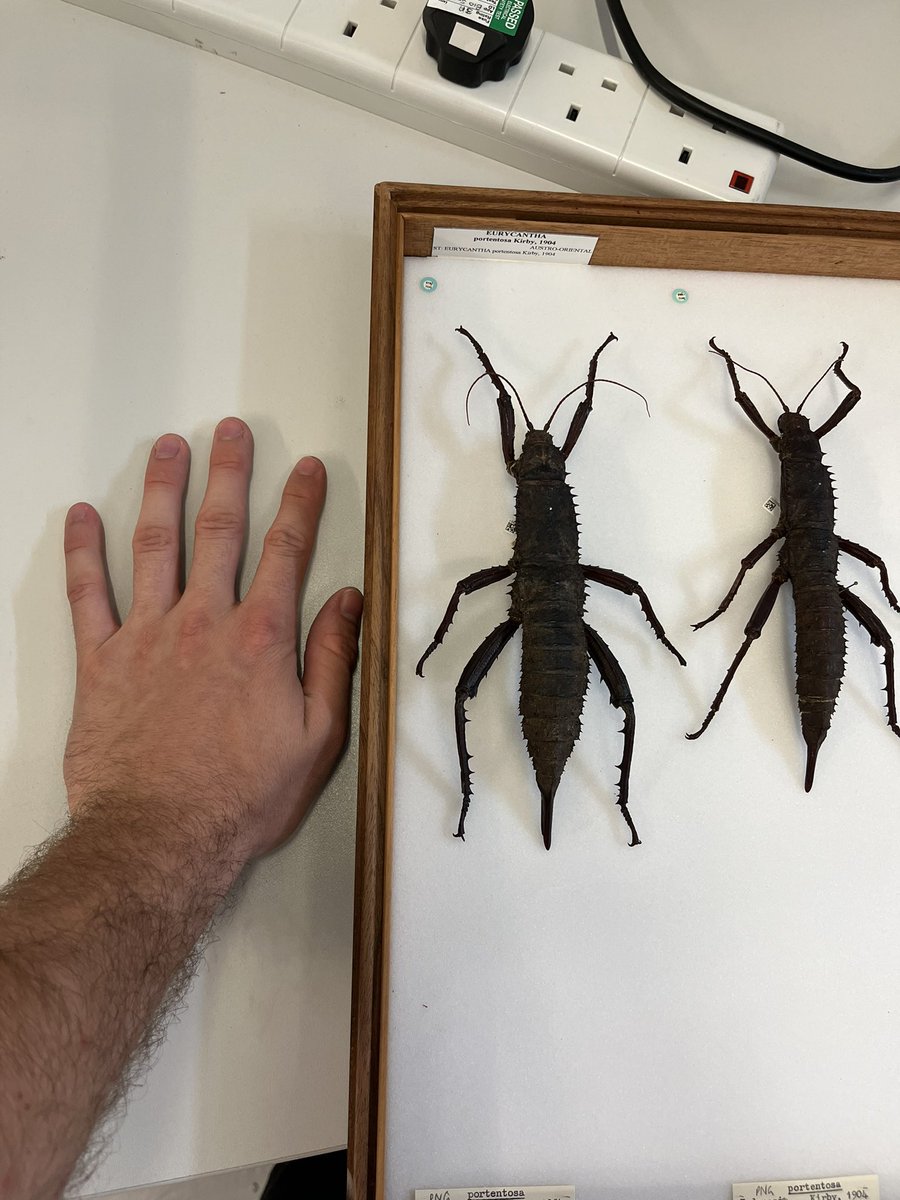 Braxton Jones tweet media