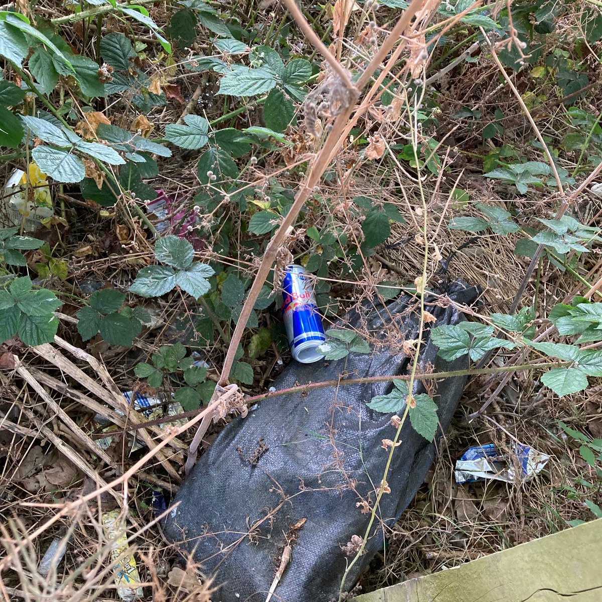 RedBullLitter's tweet photo. Red Bull can #954: Over a fence and just out of reach, Totteridge. #RedBull #Litter #LitterPicking #Recycling #KeepBritainTidy https://t.co/JSZz2jQSP3