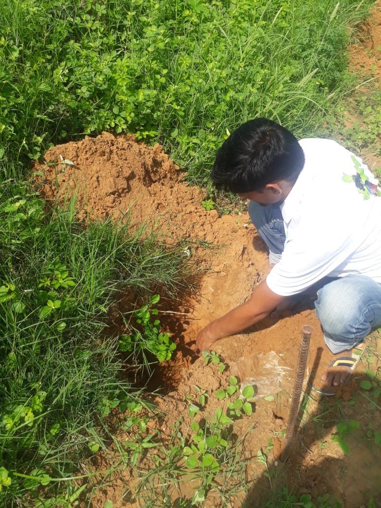 kalptaru108's tweet image. आप भी देश के किसी भी कोने से पौधरोपण के लिए kalptaru108@gmail.com पर अवगत करा सकते हैं!
संस्थान आपकी अपेक्षाओं पर खरा उतरने का पूर्ण प्रयास करेगा! 

आओ मित्रों वृक्ष लगाएं ! 
इस धरती को स्वर्ग बनाएं!! 🙏🌳

#TeamKalptaru #DenseForest #TreePlantation #MukeshSharma