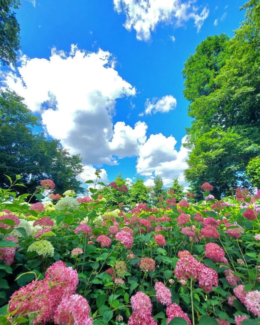 東海カメラマップ Tokai Camera Twitter