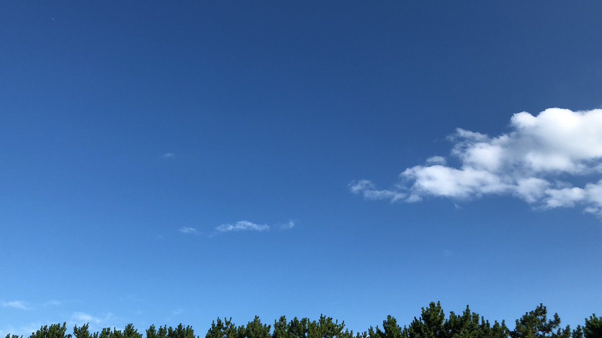 011ayako's tweet photo. 今日は久しぶりに���から良い天気でした☀️
晴れてると部屋も明るい💡
心も明るくなりますね😃

心が重苦しかったのは連日の雨のせいだったのかも(^_^)
自然災害が多くて不安になりますよね。
今、雨の地域も早く青空が見れますように✨

@hanaseru358 https://t.co/FDArd11bkt