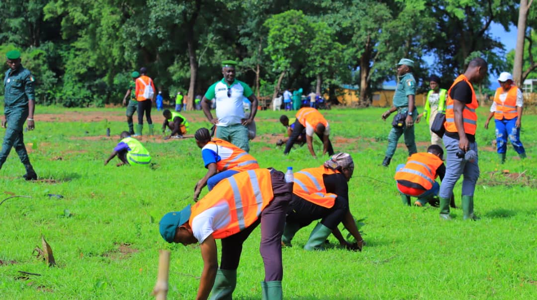 SODEFOR22's tweet image. Étape d&apos;Odiené (FC kimbirila 30ha) réussie pour la caravane nationale du reboisement populaire initiée par @FondationYes et la @SODEFOR22 . Prochaine étape Badikaha 20juillet 2022.
@pnudcotedivoire @FAOCotedIvoire @dimbobin @aip_agencepress @MINEF_CI