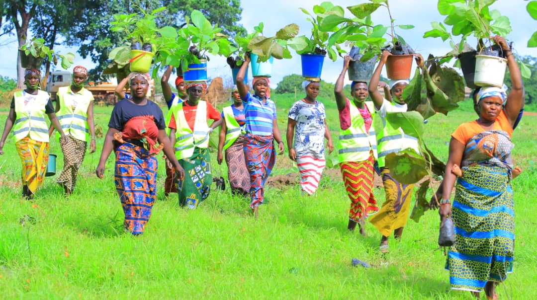 SODEFOR22's tweet image. Étape d&apos;Odiené (FC kimbirila 30ha) réussie pour la caravane nationale du reboisement populaire initiée par @FondationYes et la @SODEFOR22 . Prochaine étape Badikaha 20juillet 2022.
@pnudcotedivoire @FAOCotedIvoire @dimbobin @aip_agencepress @MINEF_CI