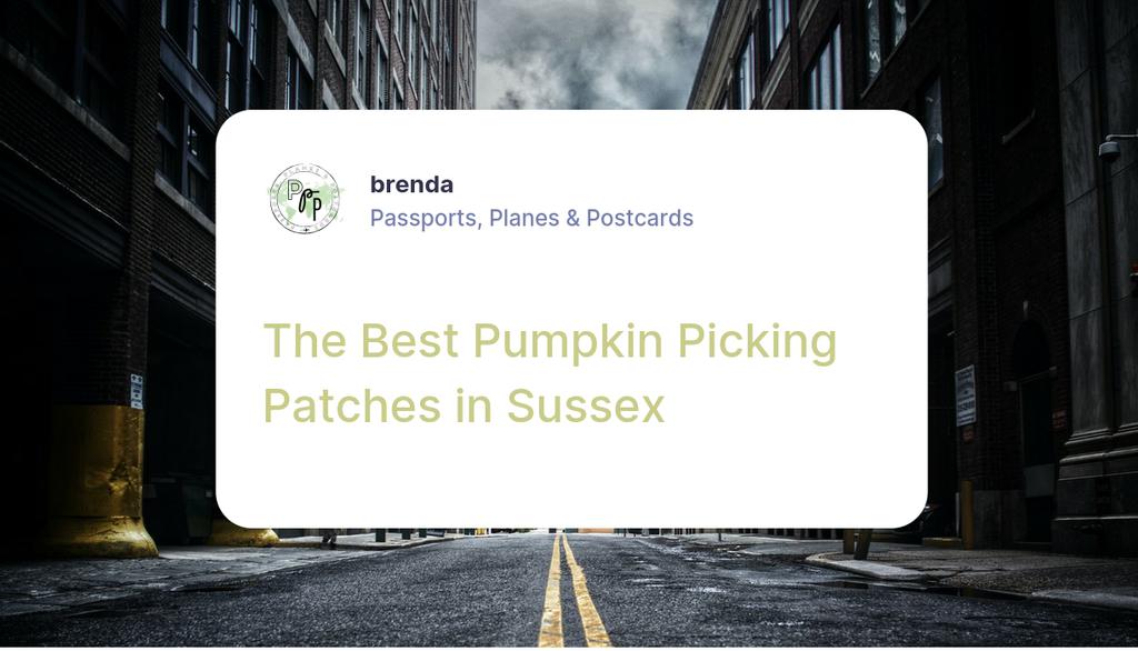 PassportsPlanes's tweet photo. I’m not sure about you, but there is just something way more enjoyable about picking your pumpkins fresh from a pumpkin farm.

Read the full article: The Best Pumpkin Picking Patches in Sussex
▸ https://t.co/t1xG8Z01FY

#tulleysfarm #pumpkincarving #daysoutsussex #daysout https://t.co/HVSLjusao8
