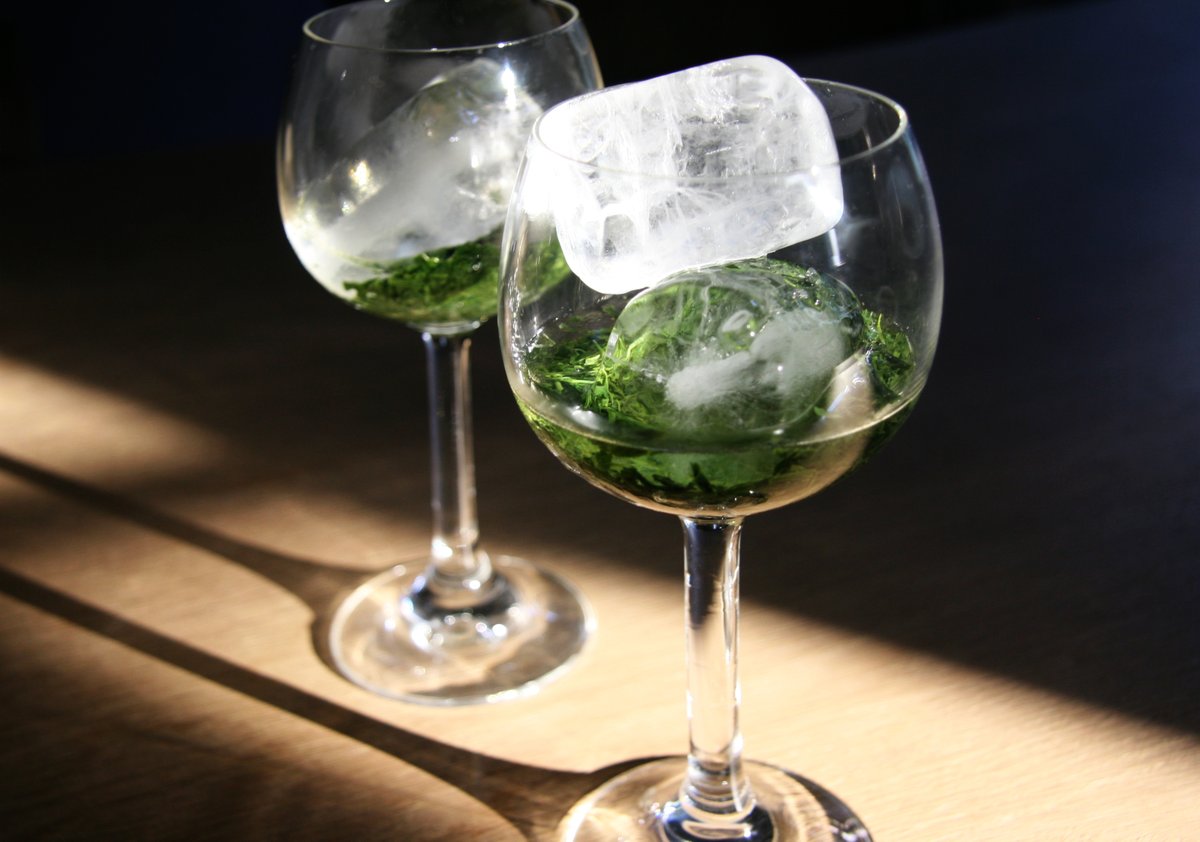 TheMatchaHouse's tweet photo. 夏の暑さを利用して３時間待つだけ！夏の醍醐味、氷出し煎茶！ JUST USE THE SUMMER HEAT AND WAIT 3 HOURS! COLD BREWED GREEN TEA WITH ICE!
#夏の暑さを利用して作る氷出し煎茶
#３時間待つだけ
#氷出し煎茶
#coldbrewed
#coldbrew
#greetea 
#organicsencha https://t.co/5FGAWnXB5a
