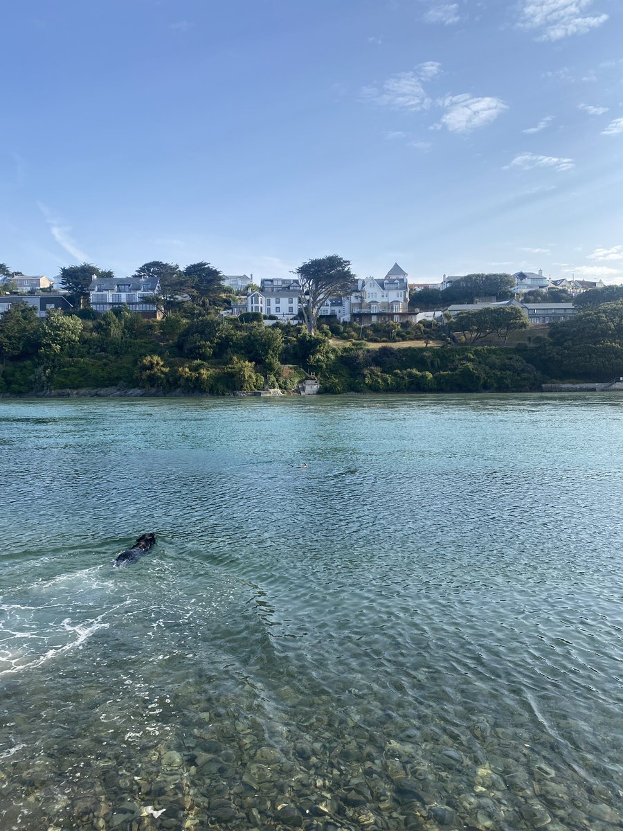 Duncan Powell tweet media