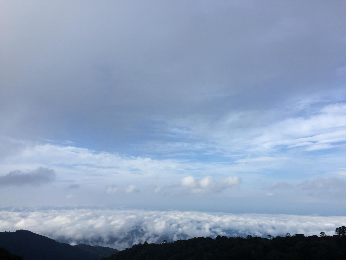 beans_slow's tweet photo. ็Infron of my coffee farm. https://t.co/6kEEHbXDcM