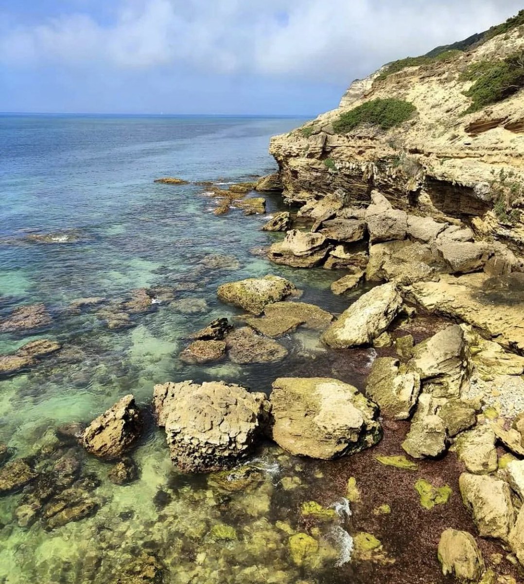 Paraíso #Bolonia Cádiz , el sur en su esencia.