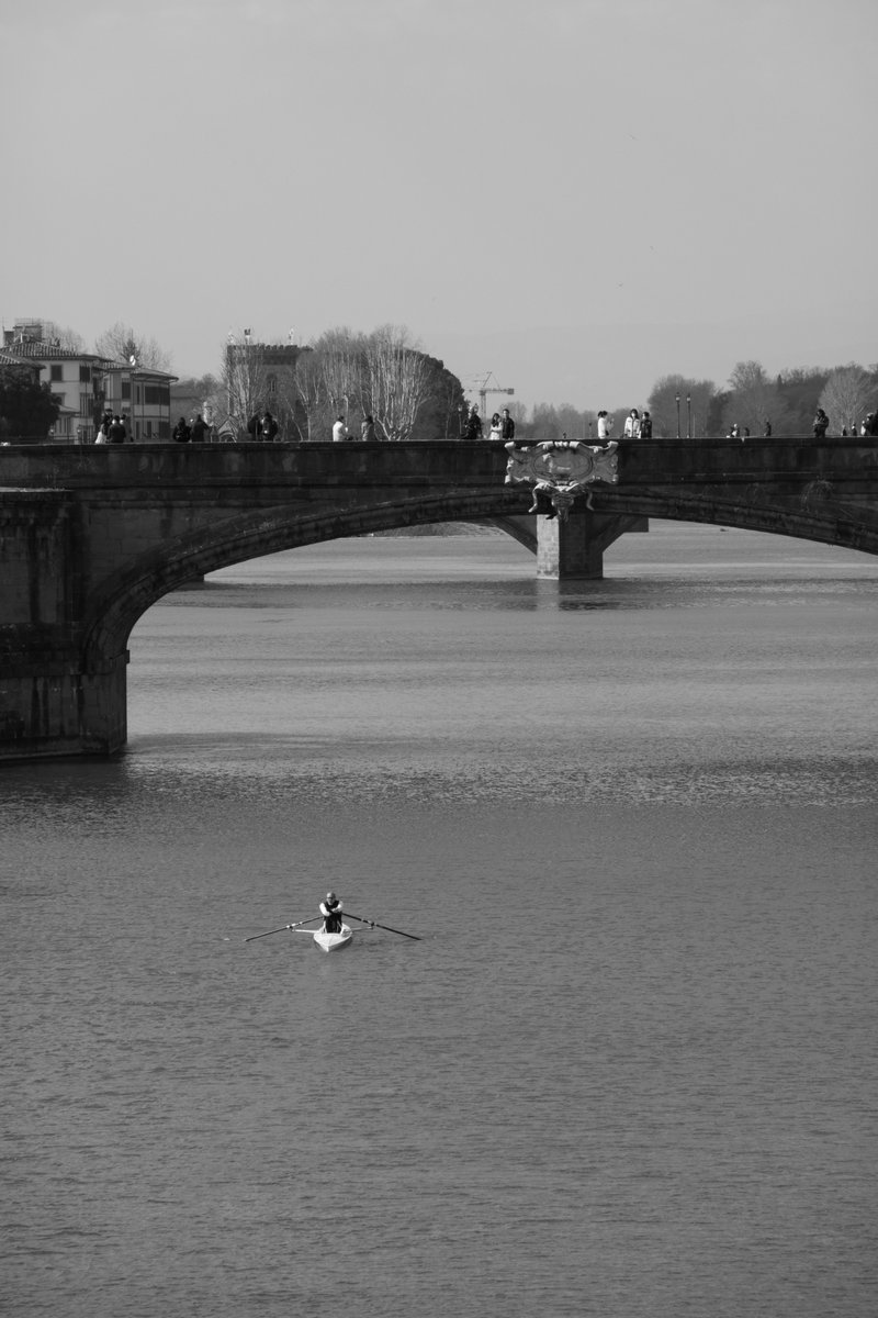 Mr.Longshanks tweet media