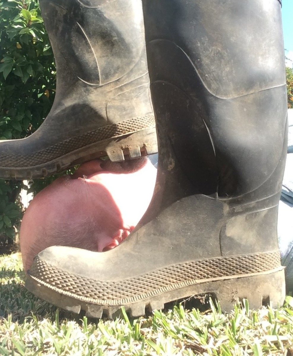 Boots Bondage tweet media