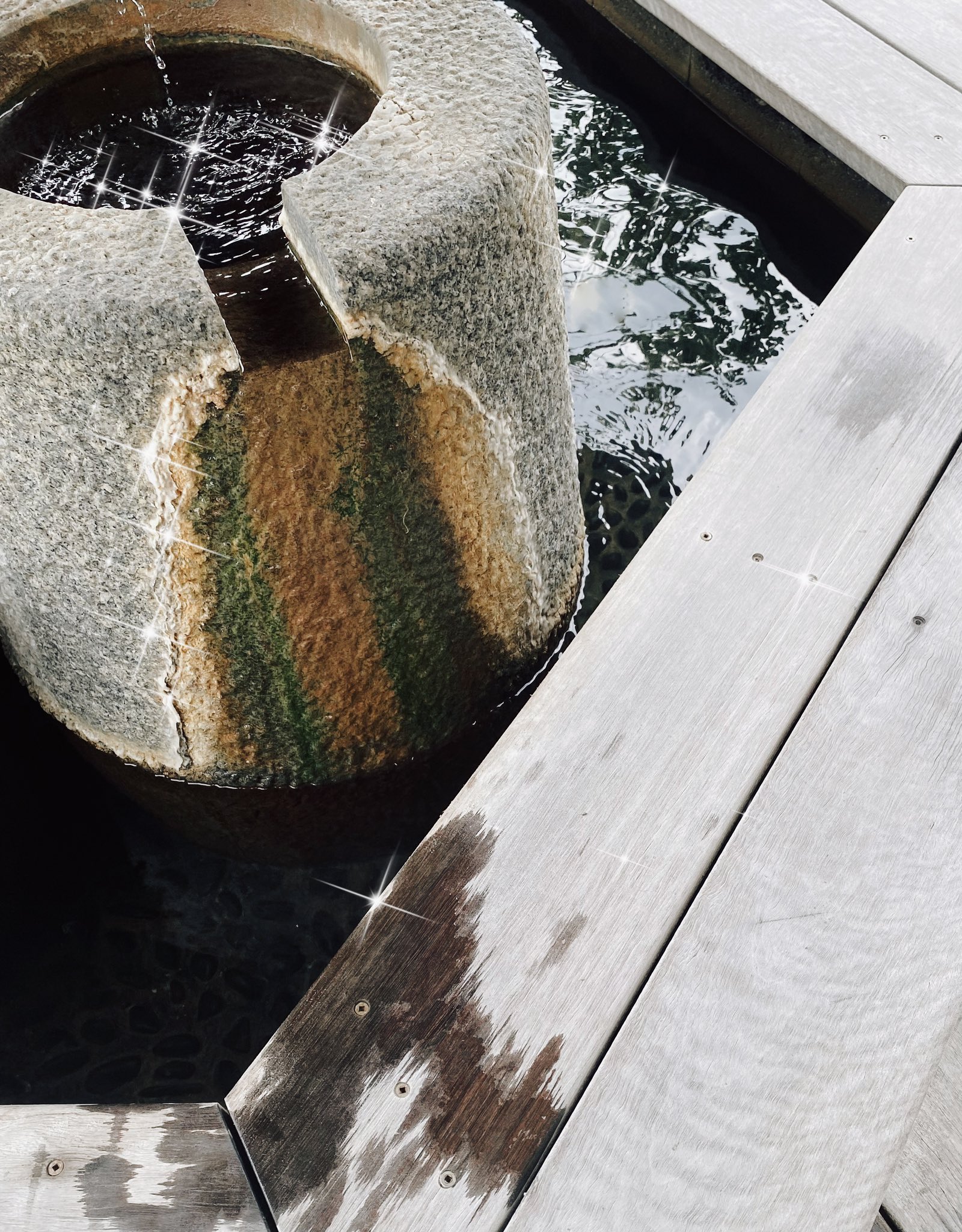 Iz あいぢ 湖畔の風を浴びに 片山津温泉へ 温泉水をペットボトルにくんで 植物にお土産にします しょっぱいので薄めます 素敵な週末を T Co Wrexn07mdr Twitter