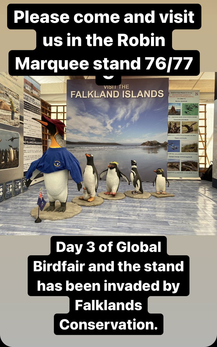 Andy Pollard (@falklandsandyp) on Twitter photo 