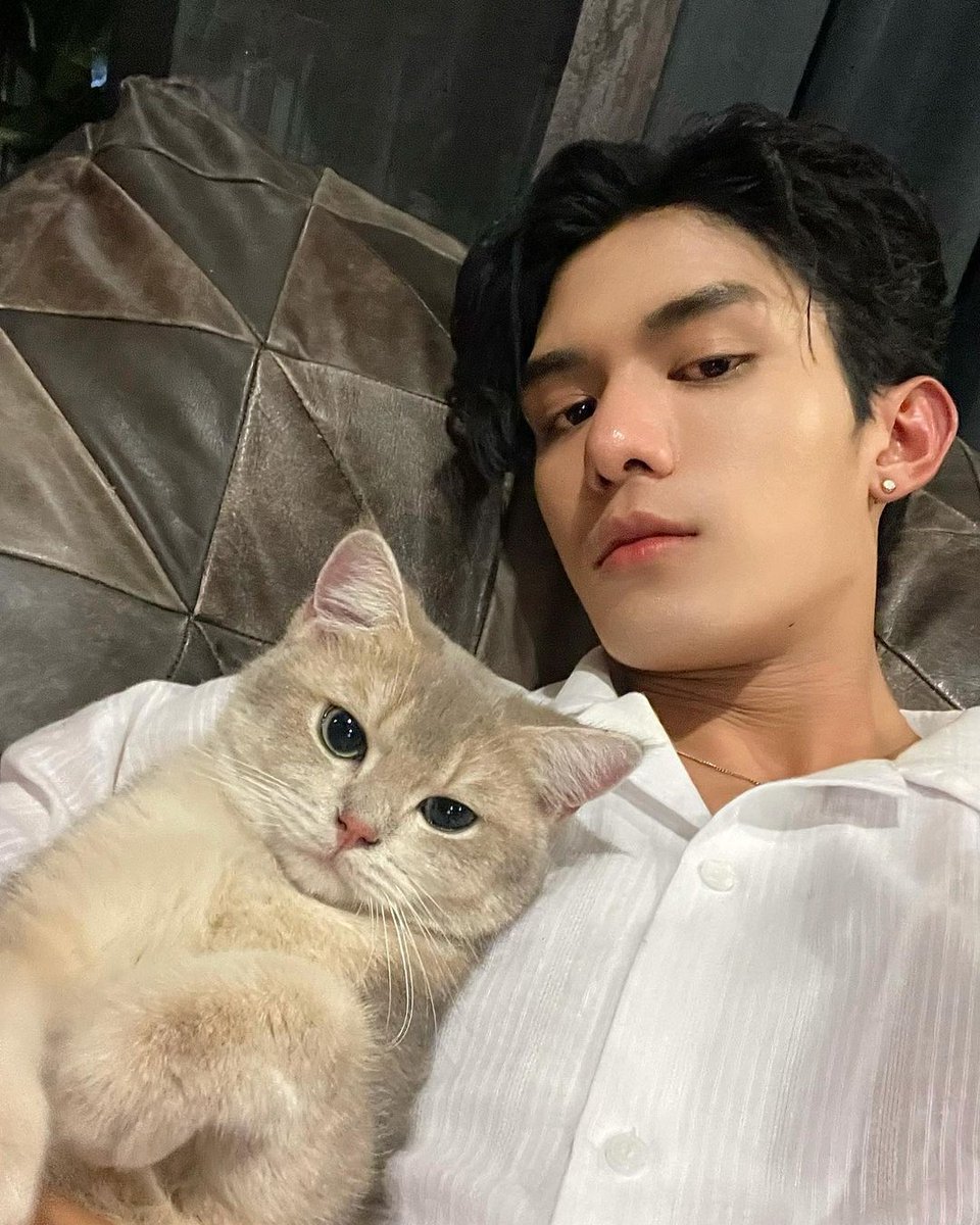 netsirahop's tweet photo. ㅤ
Like father, like son 🐱
ㅤ https://t.co/2zn6cNfgT3