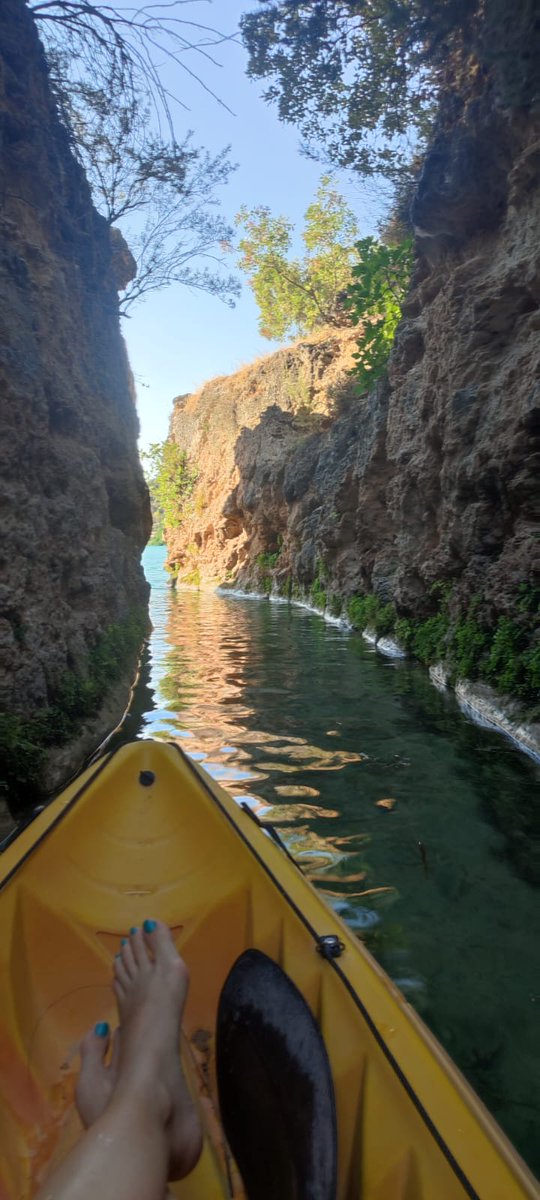 estrelleja's tweet photo. 🐟🌿🛶 @10Garca https://t.co/X9vMW5CFQJ