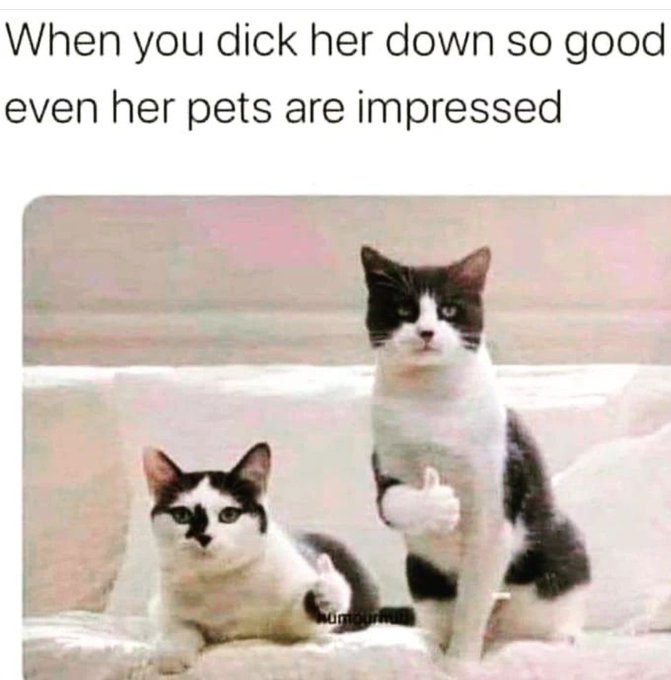 👀🐈 https://t.co/EF1VyZpSYm<a href="/tag/onlyfans"class="tags"><span>#onlyfans</span></a>