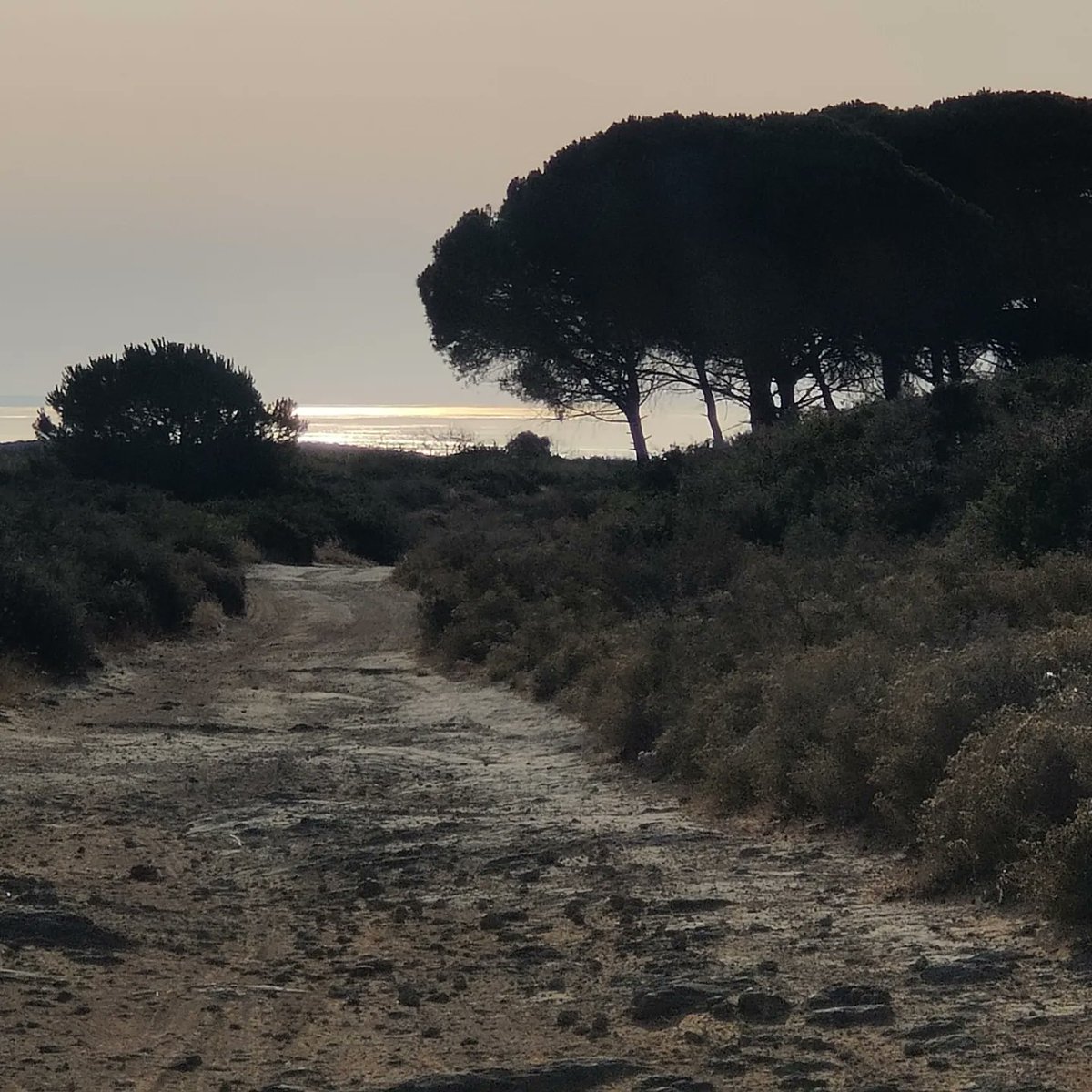 ZafraFJ's tweet photo. Esta mañana con algo más de calor, pero se agradece estás vistas 🏃🏼 https://t.co/vsI89aeXxU
