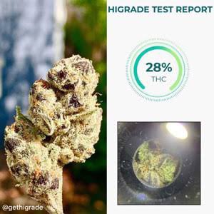 Jigga_4life's tweet photo. Just minted a new ENS 🚨Higrade.eth🚨 what does everyone think? #higrade #eth #Ethereum #ens #ensdomains #ensdomain #ensd https://t.co/FBx8vrMVNq
