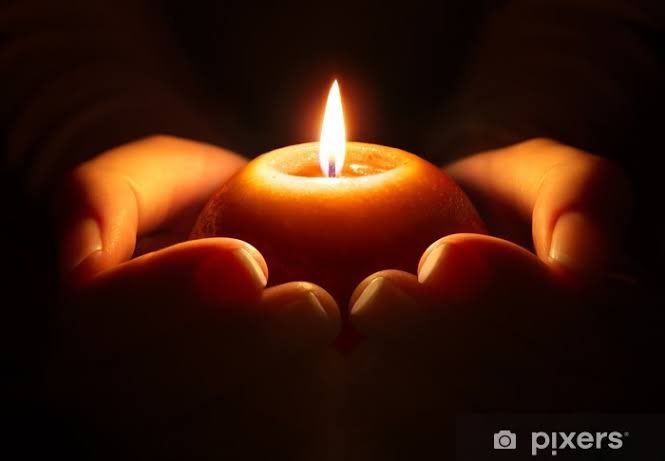 Reen 🇦🇺😻♥️☮️🇺🇦🕊 tweet media