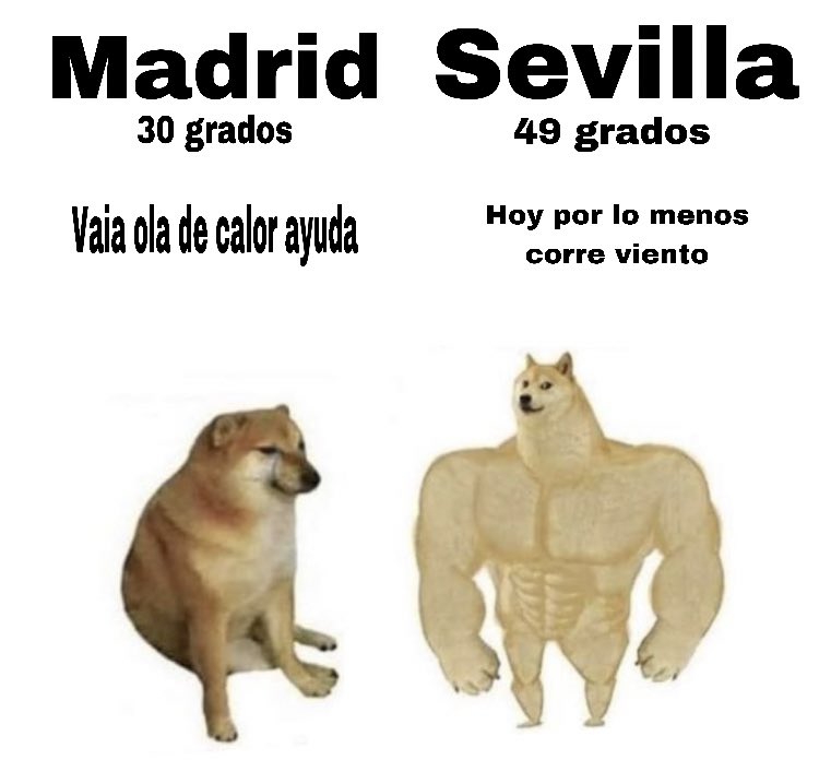Wadarinha🇪🇸 tweet media