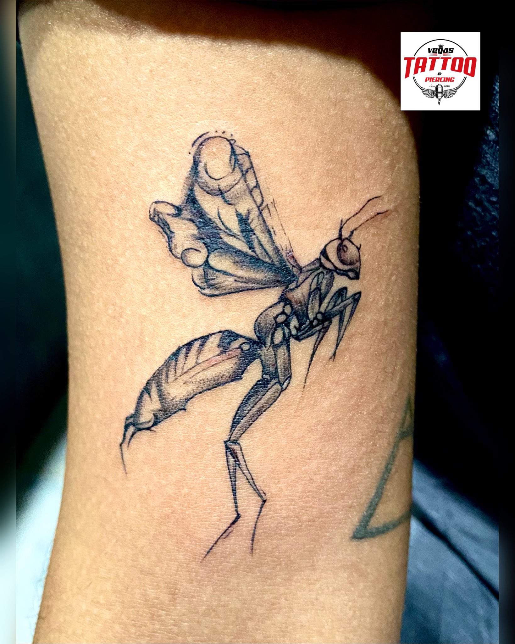 Tattoo of a wasp done with only one continuous line, Jane Cho : r/pics