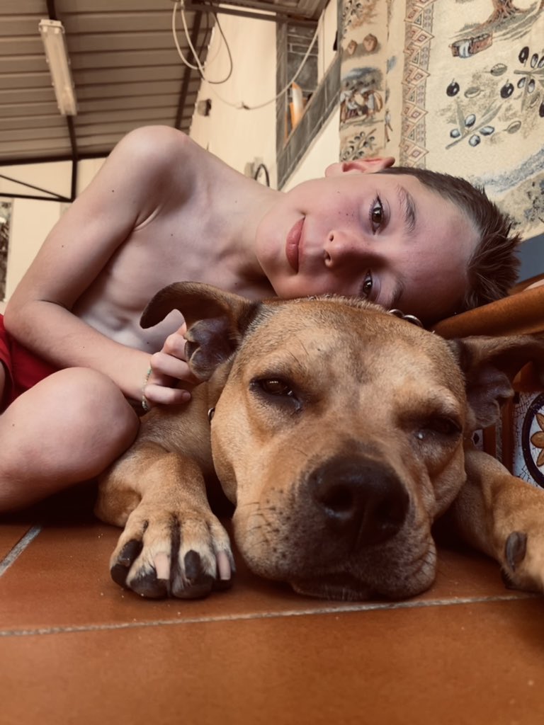 batidito's tweet photo. Tengo dos bebés🥺🫀 https://t.co/KSkLhY1EIP