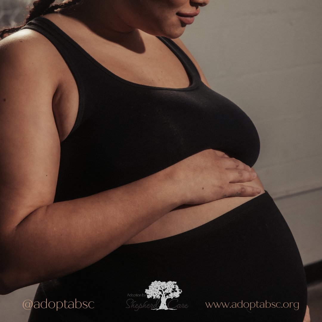 It can be intimidating to seek info, especially if you are overwhelmed. You are not obligated to make any commitments until you are certain. It's your choice. Get in touch with ABSC to explore your options. ow.ly/nKEh50JXBeS #pregnancyhelp #unplannedpregnancy #floridababy