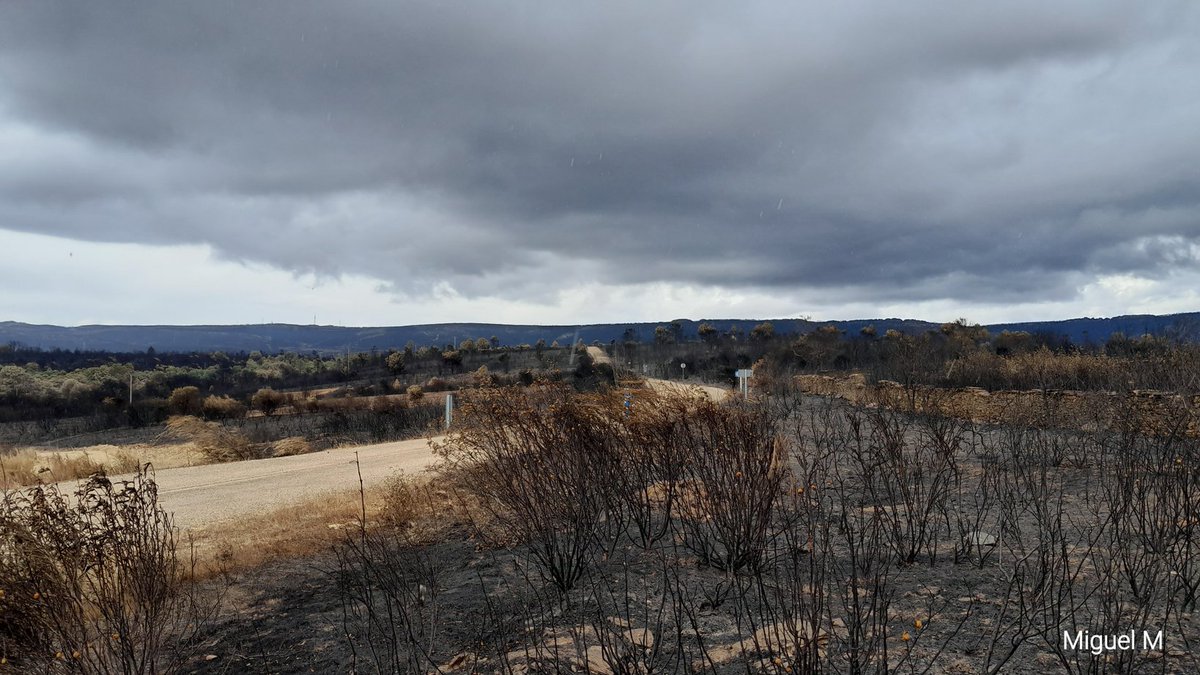 Las Hurdes, Monfragüe, el valle del Jerte y las sierras de Gata, de Francia, de la Culebra y de la Cabrera, tienen todas un factor común, y es que arden por las grandes cantidades de combustible forestal acumulado por la falta de población activa que gestione el espacio natural.