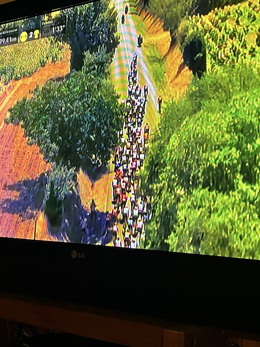 DiscoverVin tweet media