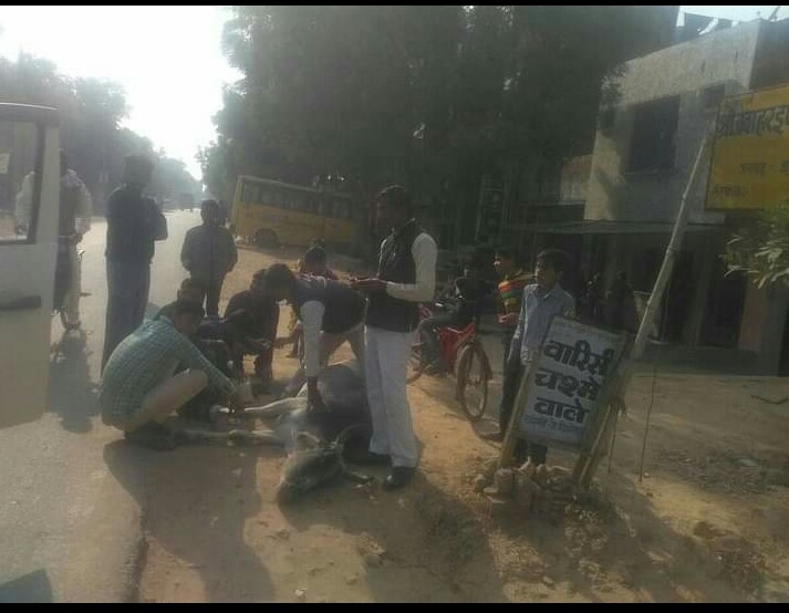 vikas_lok's tweet photo. हमारे गौसेवा सदन ,एक छोटा सा प्रयास 
असहाय की सेवा संस्था के ��्दारा https://t.co/EV1STby2CD