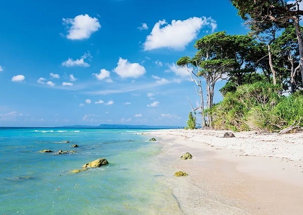 Travitinerary's tweet photo. Andaman Islands, India 🇮🇳 https://t.co/rL9XlfNDNp
