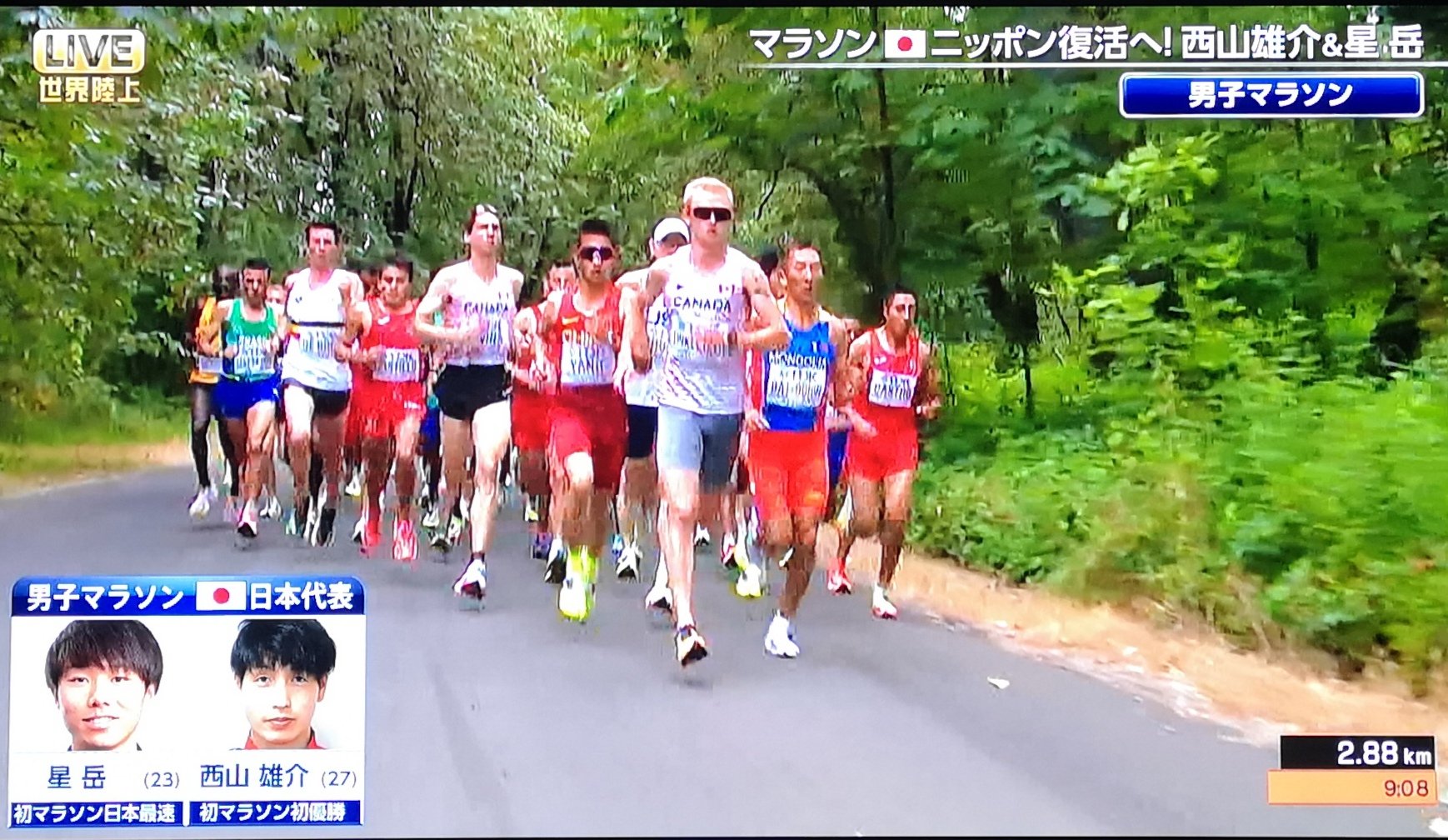 みやすのんき Run垢 Miyasunonki Twitter