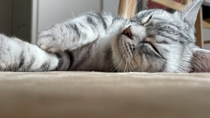 Twitterのコスプレ画像13