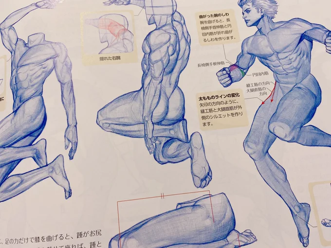 絵がうますぎる 