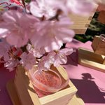 奈良未遥まとめ (インスタ転載)のツイート画像